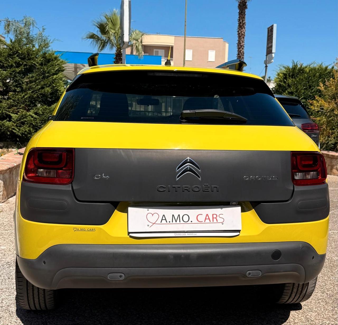 Citroen C4 Cactus BlueHDi 100 Shine COME NUOVA