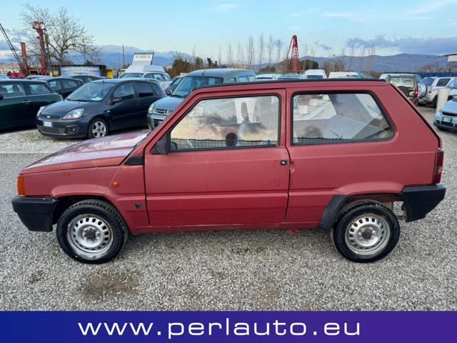 FIAT Panda 1ª serie 1100 i.e. cat Young