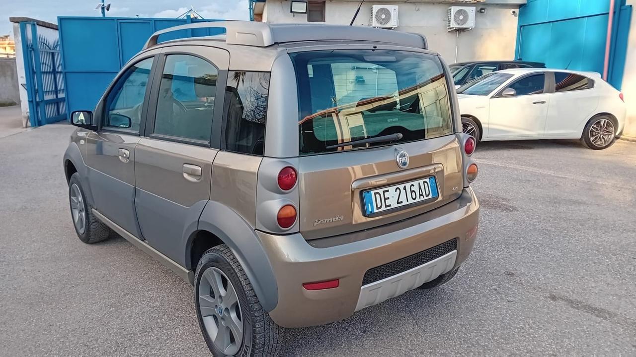 Fiat Panda cross 4 × 4-1.3 mjt-2007
