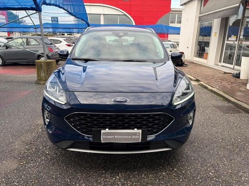 Ford Kuga Kuga 1.5 EcoBlue 120 CV 2WD Titanium Business