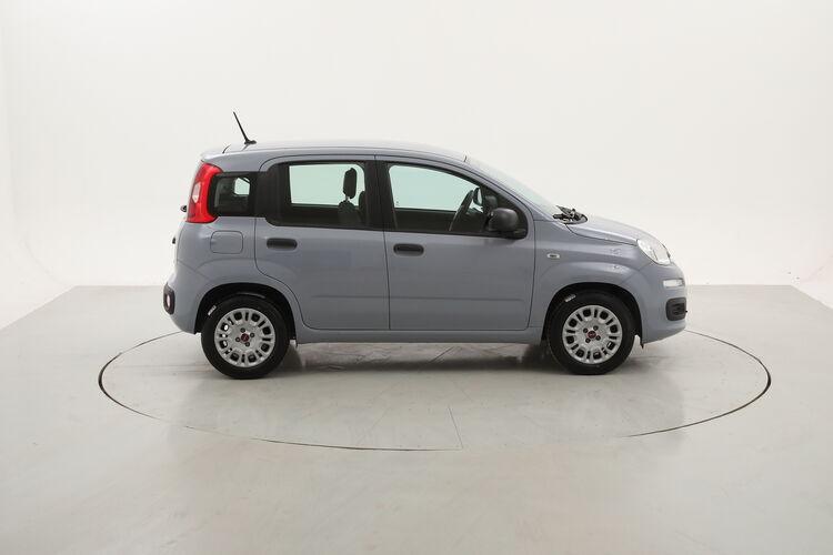 Fiat Panda Easy BR840589 1.2 Benzina 69CV