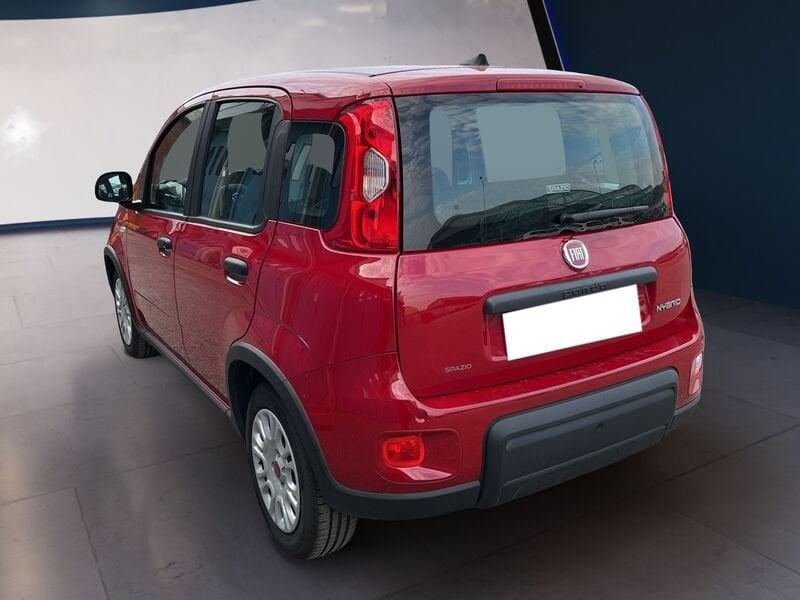 FIAT Panda My24 1.0 70cv Hybrid Panda