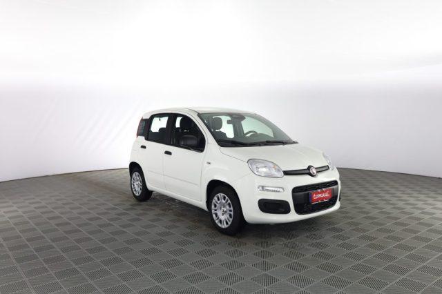 FIAT Panda Pandina 1.0 FireFly 65 CV Hybrid Icon