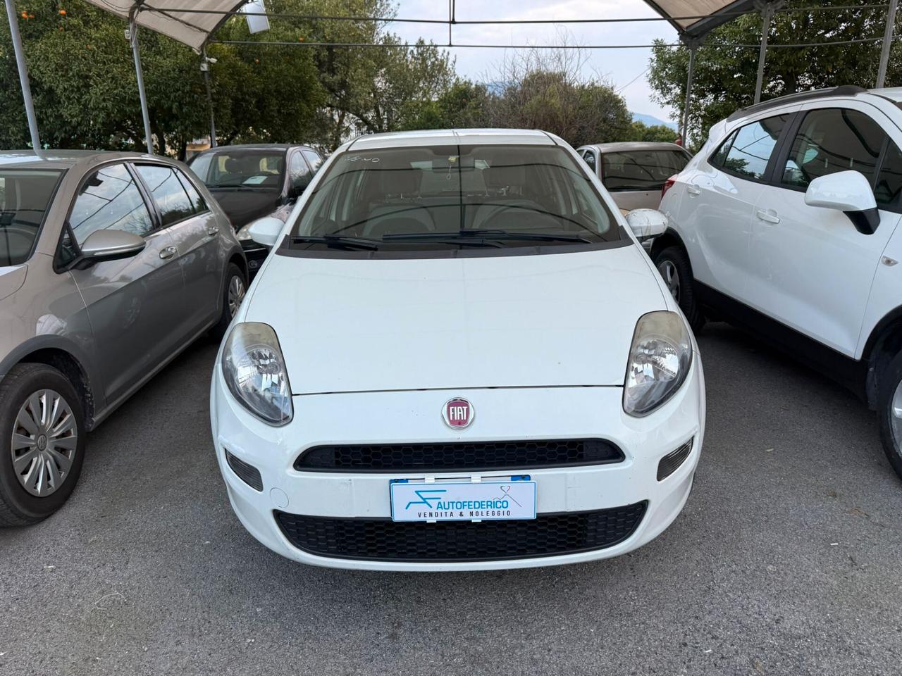Fiat Punto 1.4 8V 5 porte Natural Power Easy
