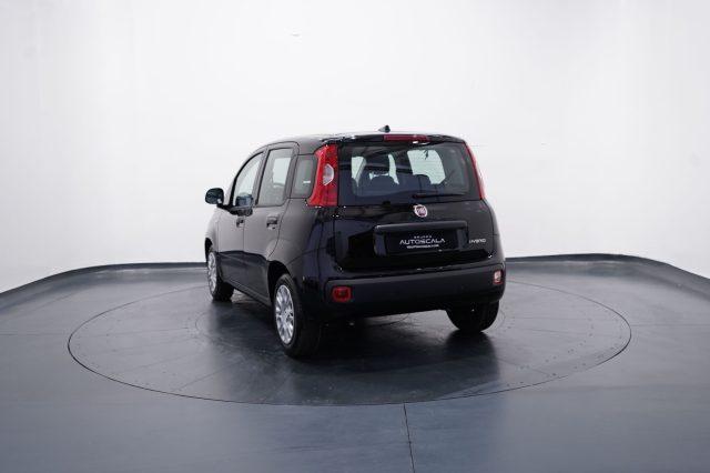 FIAT New Panda My25 1.0 FireFly S&S Hybrid #Pack City #5posto
