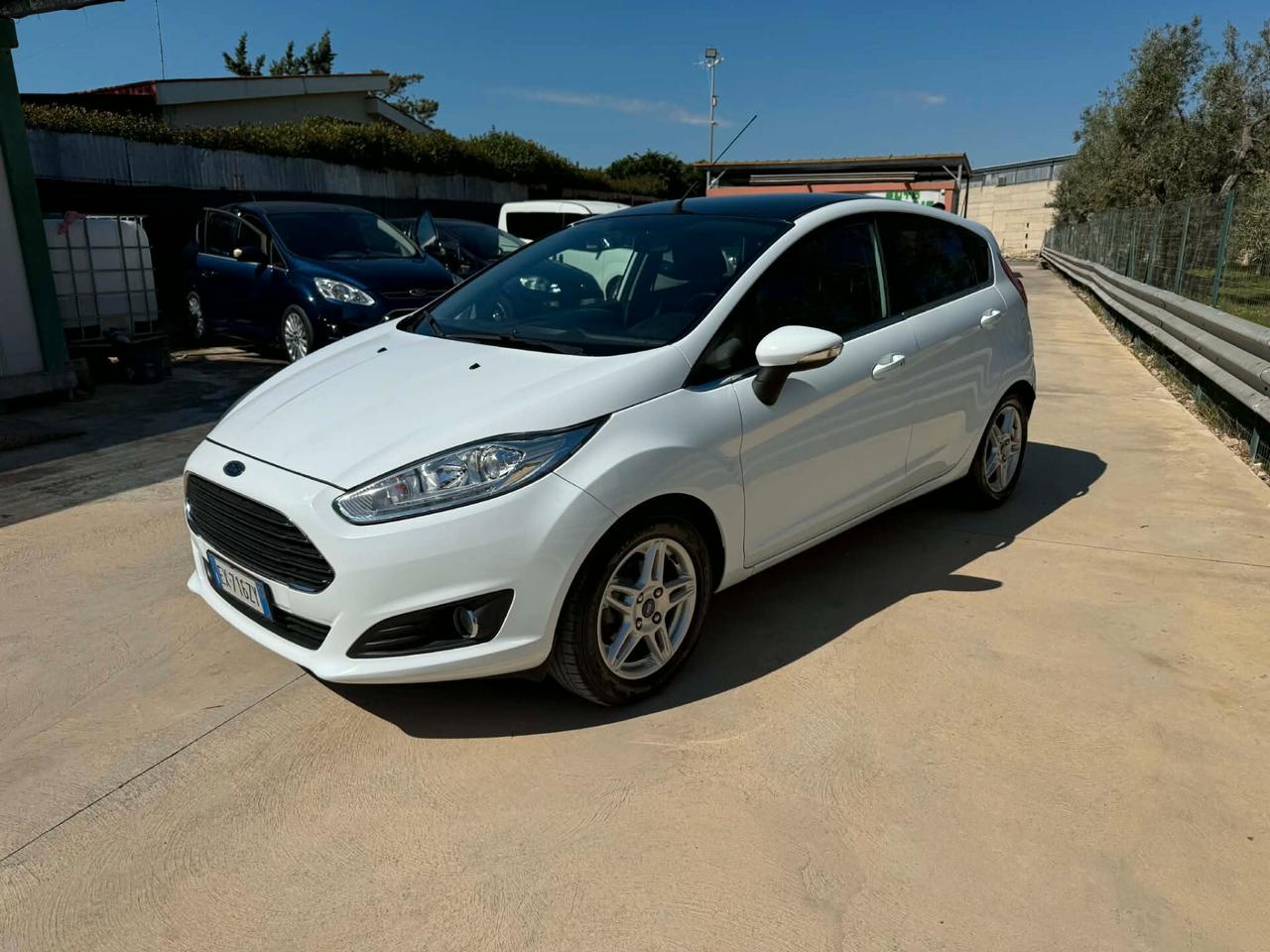 Ford Fiesta 1.5 TDCi 75CV 5 porte Titanium 2014