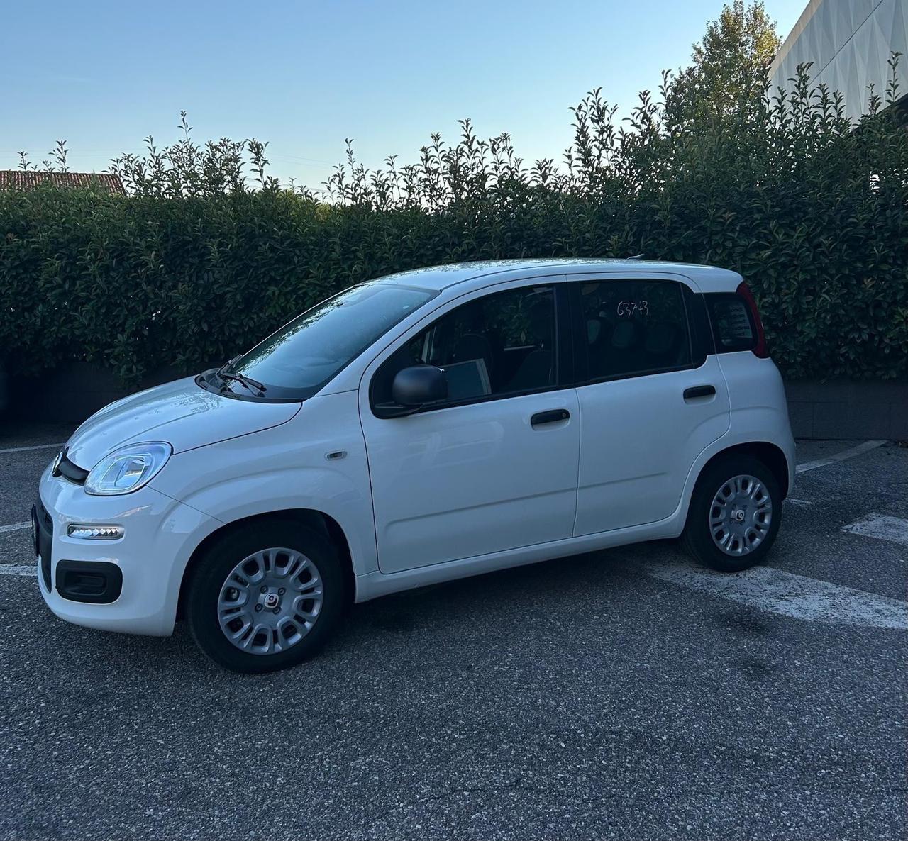 Fiat Panda Pandina 1.0 FireFly 65 CV Hybrid Icon