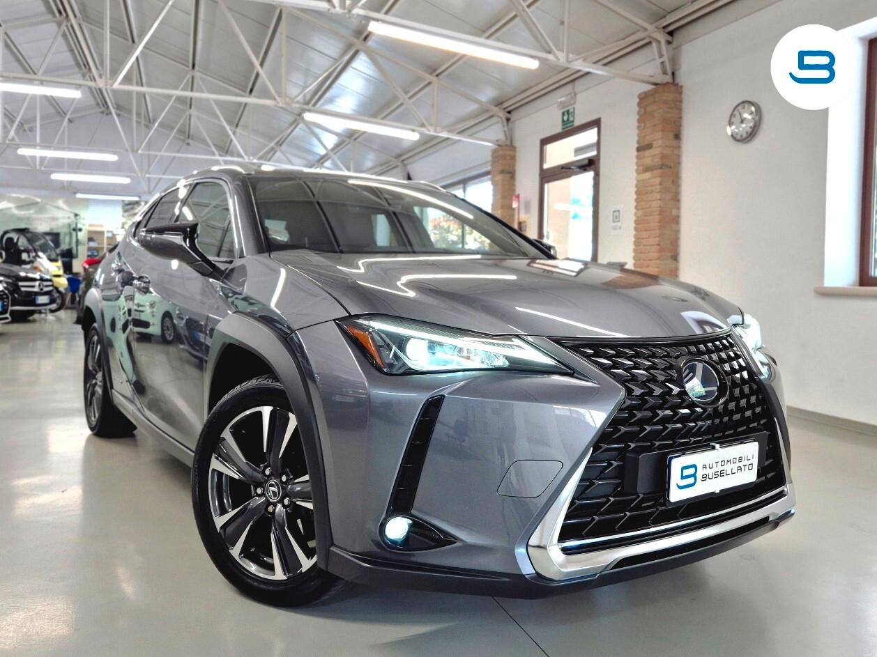 Lexus UX Hybrid 4WD Business
