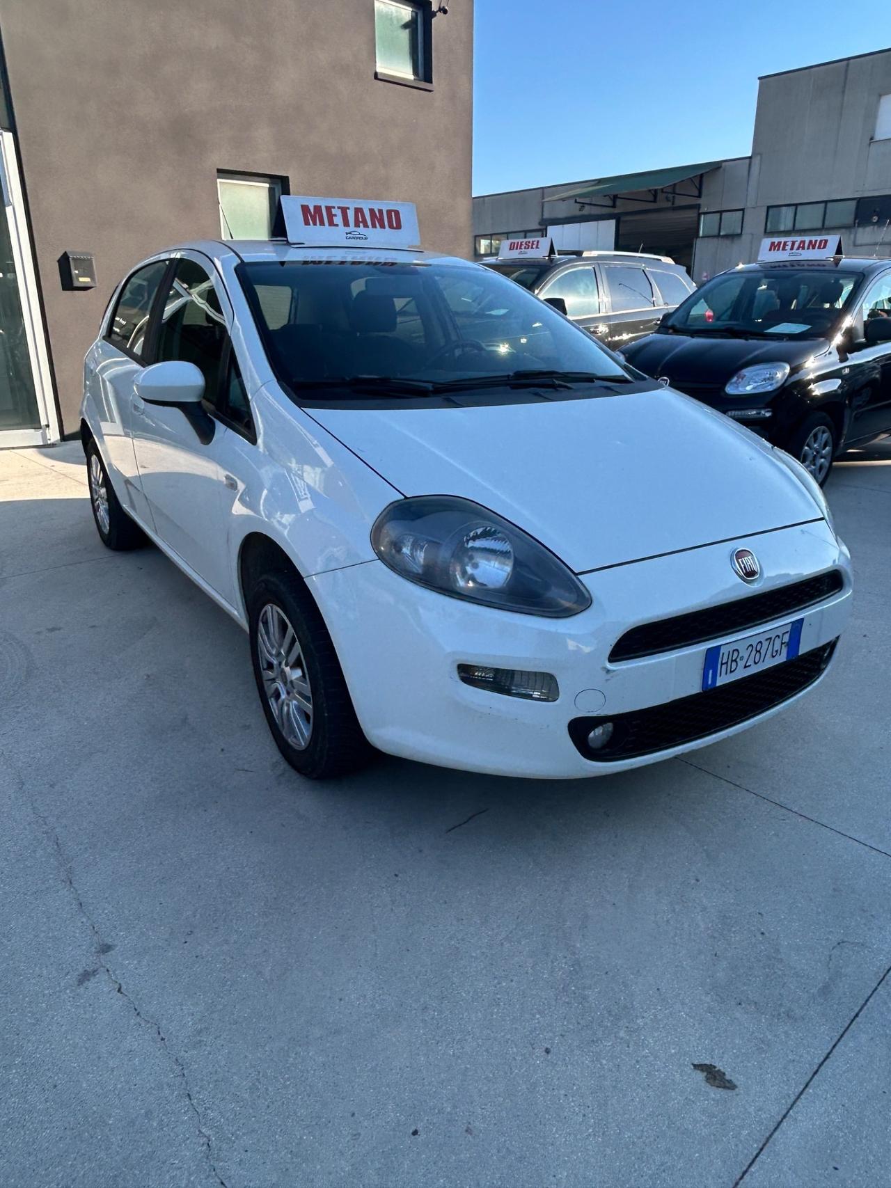 Fiat Punto 1.4 8V 5 porte Natural Power Lounge