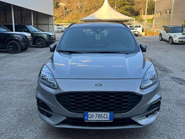 FORD Kuga 1.5 EcoBlue 120 CV aut. 2WD ST-Line X
