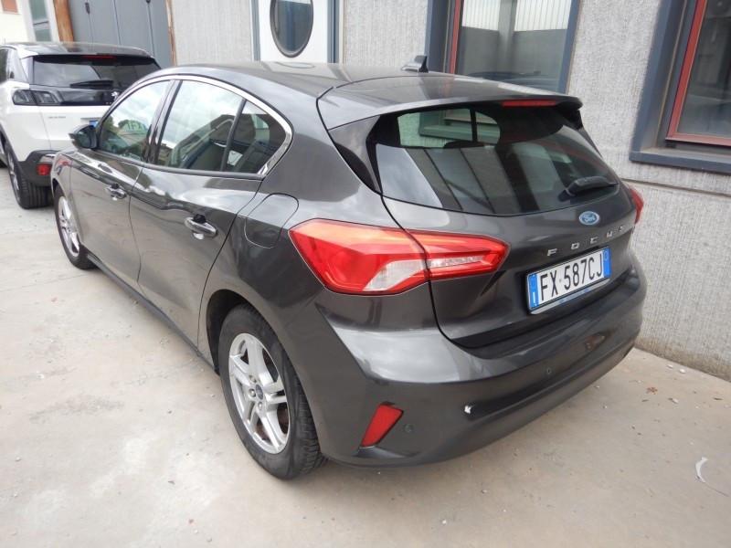 Ford Focus 1.5 EcoBlue 120 CV 5p. Business