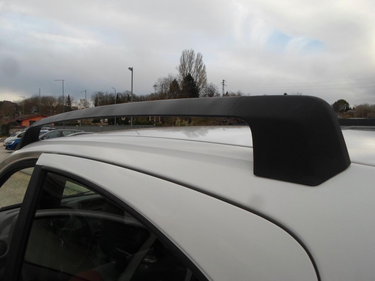 Fiat Panda 1.2 Benzina 4x4