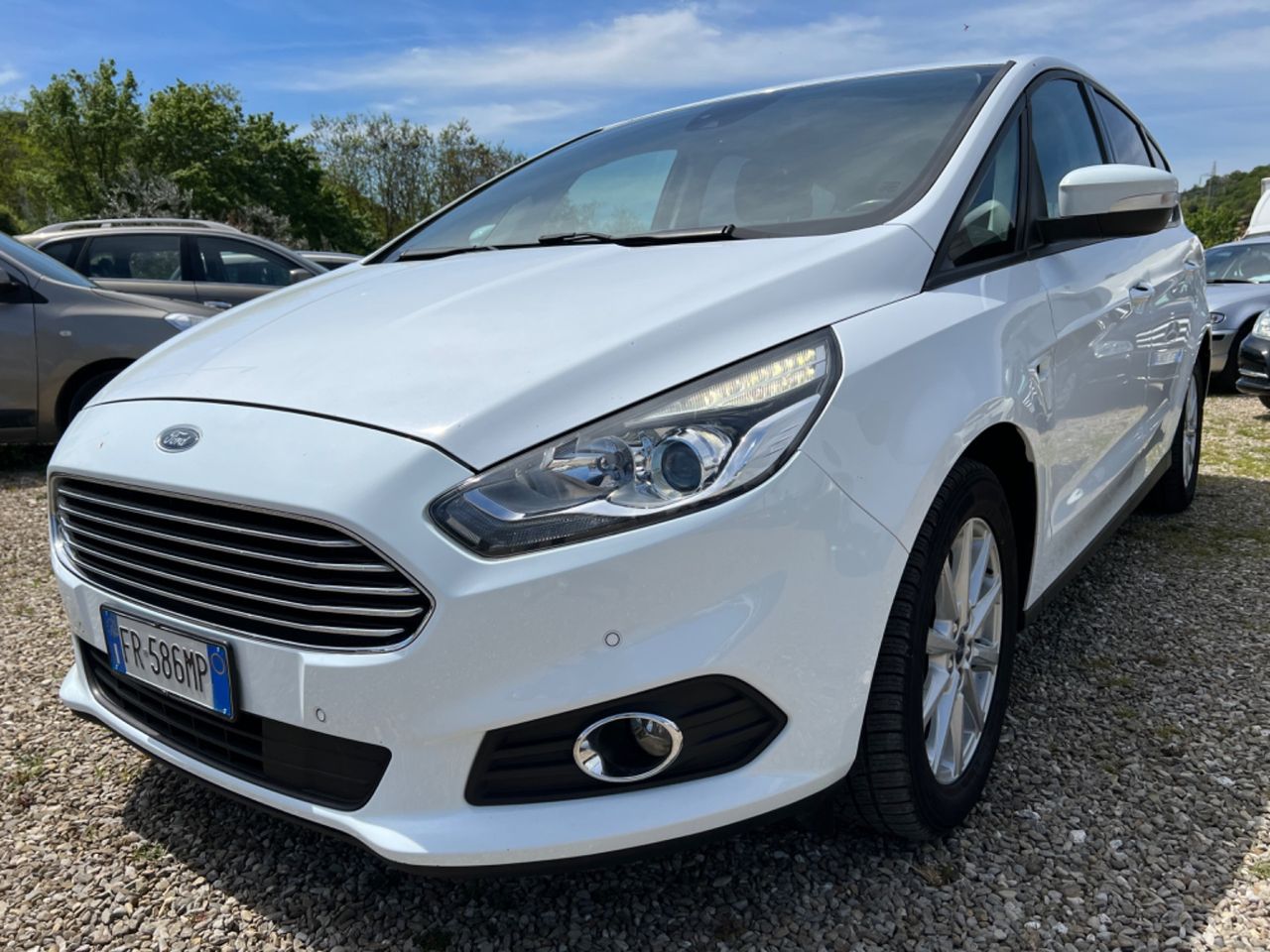 Ford S-Max 2.0 EcoBlue 150CV Start&amp;Stop Aut. Vignale