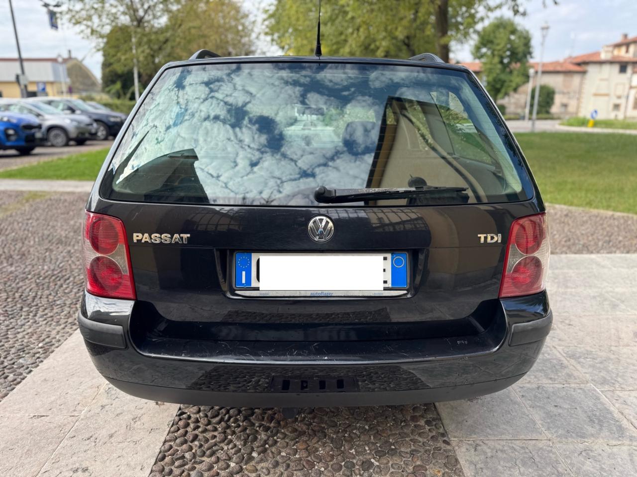 Volkswagen Passat 1.9 TDI/101 CV Var. Business