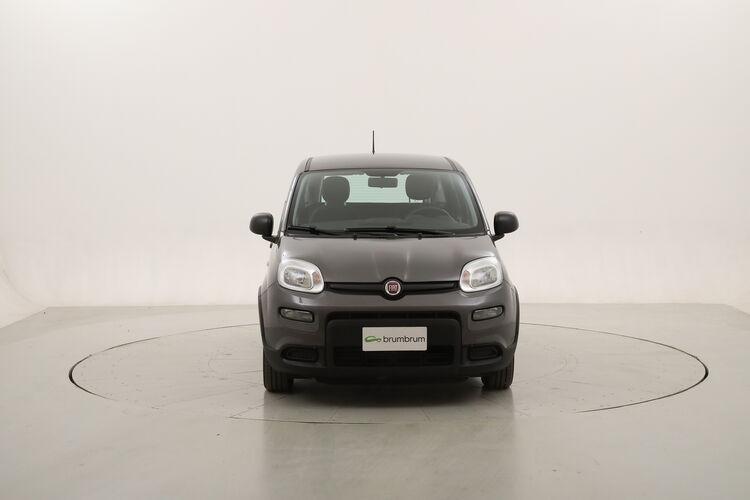 Fiat Panda Hybrid BR227350 1.0 Mild Hybrid 70CV