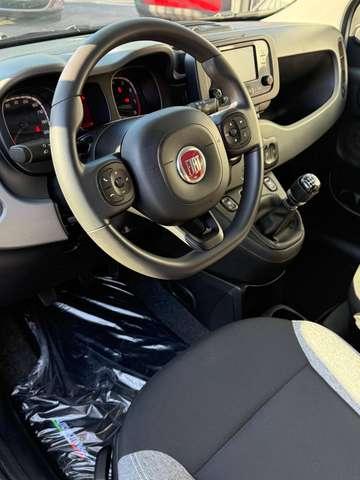 Fiat Panda Panda 1.0 Hybrid PRONTA CONSEGNA 5 POSTI