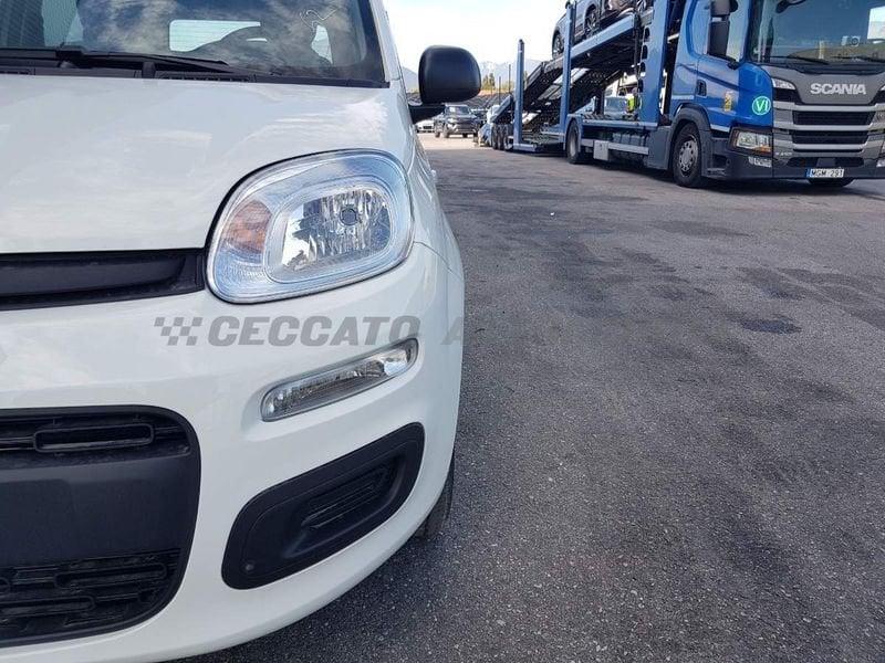 FIAT Panda Panda 1.0 70cv Hybrid Icon