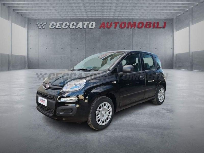 FIAT Panda Panda 1.0 70cv Hybrid Icon