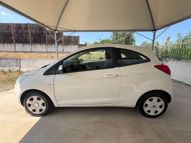 FORD Ka+ 1.2 8V 69CV Business PRONTA CONSEGNA EURO 5