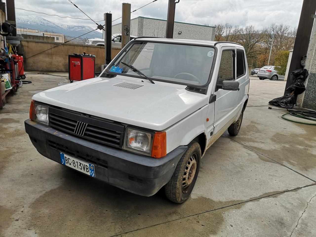 Fiat Panda 1100 i.e. cat Young