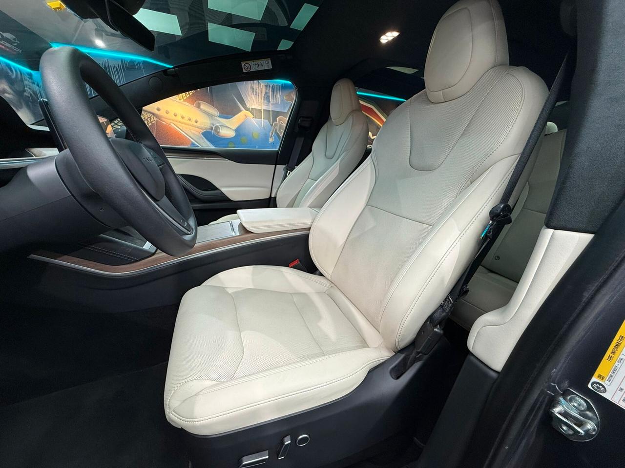Tesla Model X LONG RANGE (734)