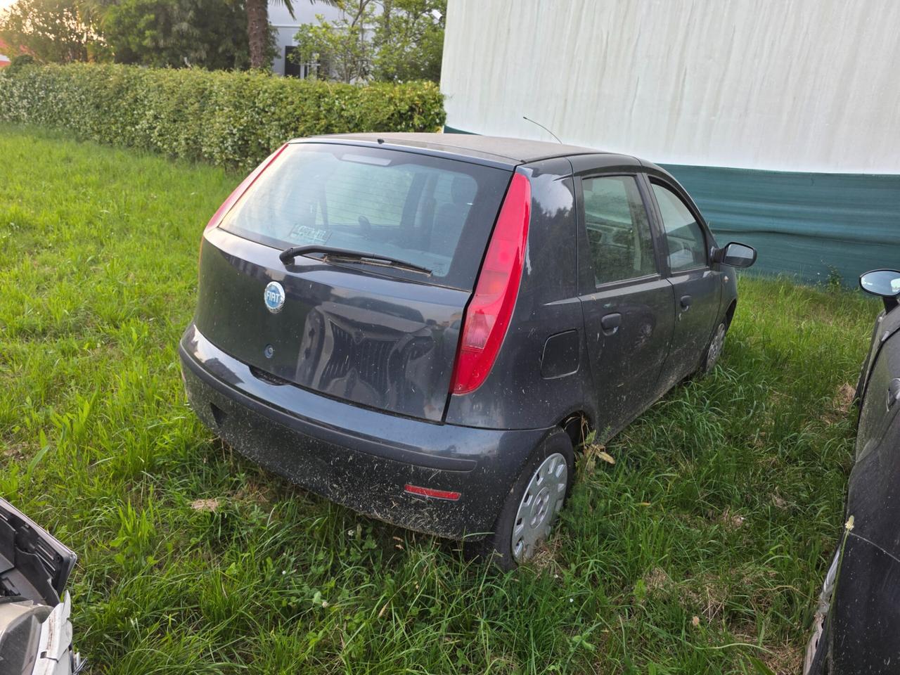 Fiat Punto Evo 1.3 Mjt 75 CV 5 porte Active