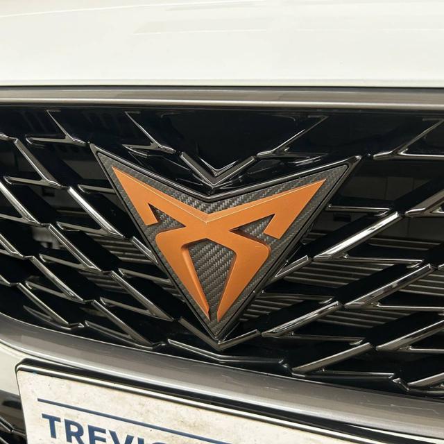 CUPRA Formentor 2.0 TDI 4Drive DSG