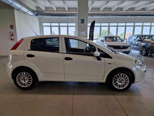 FIAT Punto 1.2 8V 5 porte Young