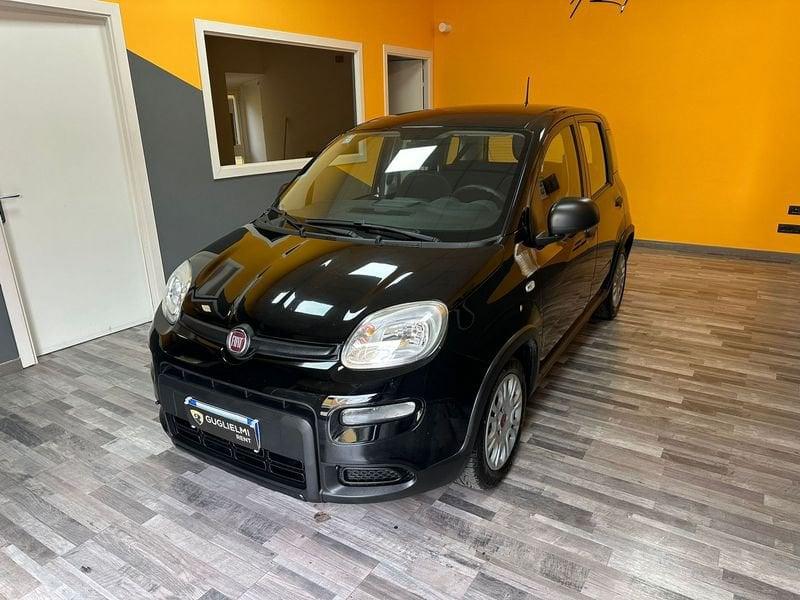 FIAT Panda Panda 1.0 FireFly S&S Hybrid PREZZO VERO