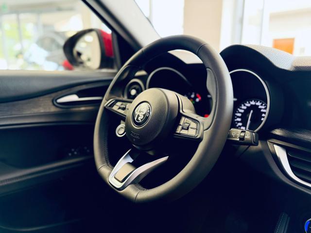 Alfa Romeo Stelvio 2.2 t rwd 160cv auto