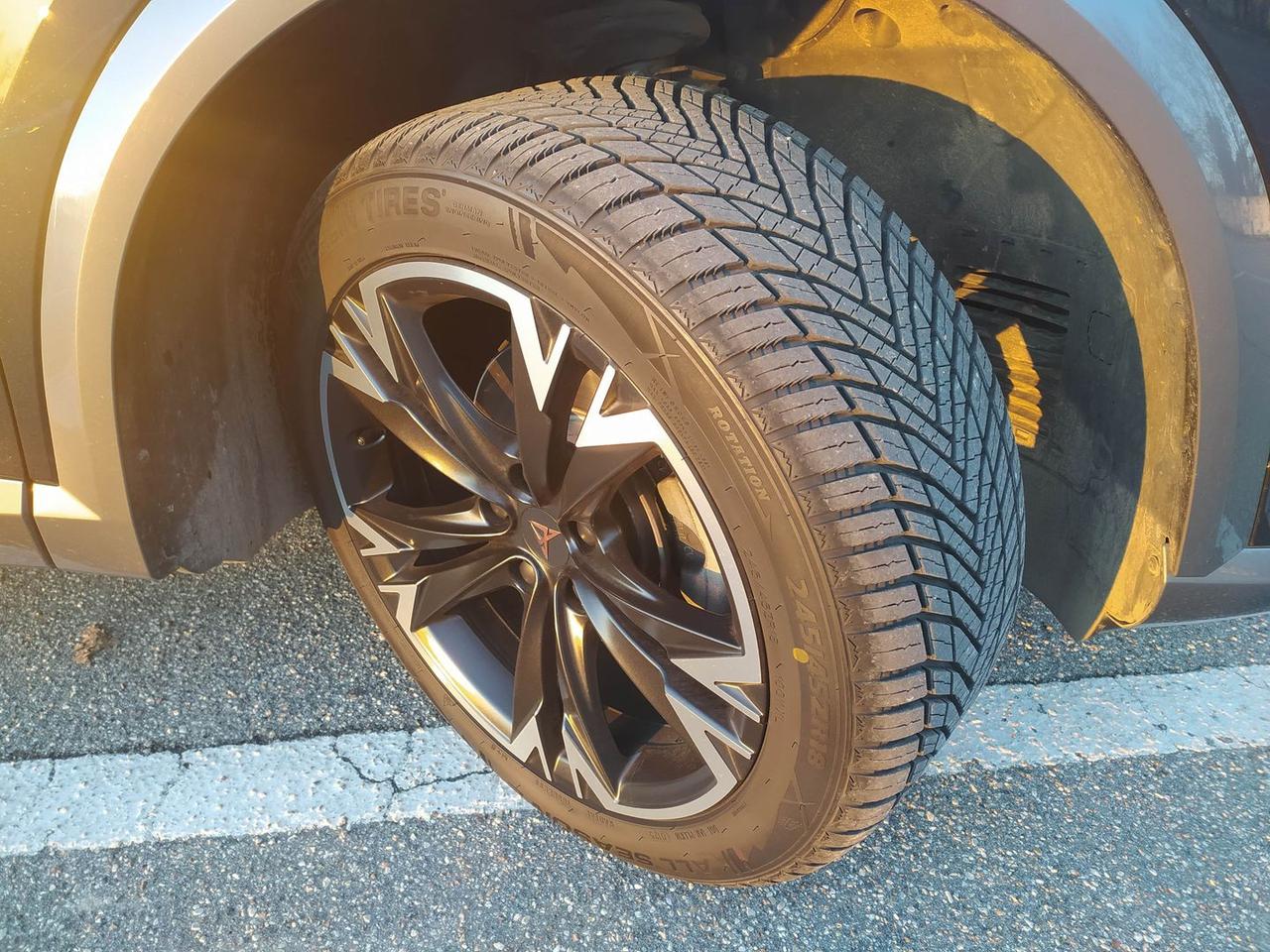 Cupra Formentor Tribe Edition 2.0 TDI #8281