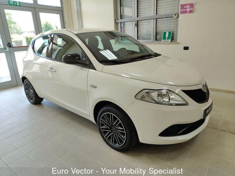 Lancia Ypsilon 1.2 69 CV 5 porte Gold