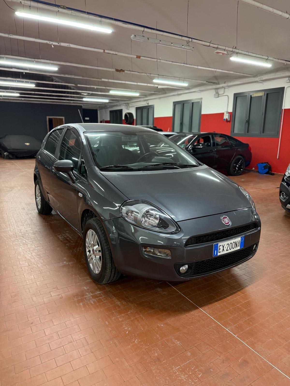 Fiat Punto 1.4 8V 5 porte Natural Power Street