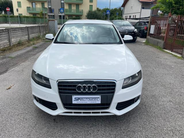 AUDI A4 Avant 2.0 TDI 143CV F.AP. multitronic Advanced