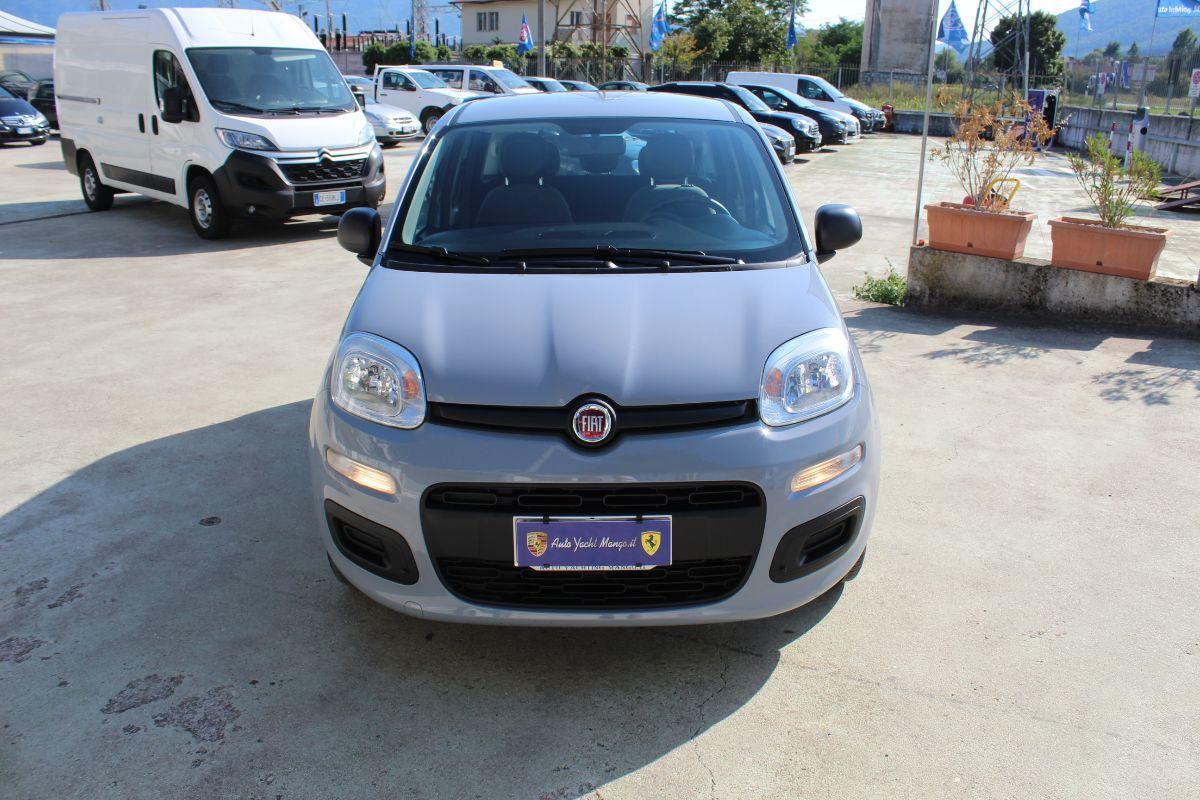FIAT - Panda - 1.0 FireFly S&S Hybrid