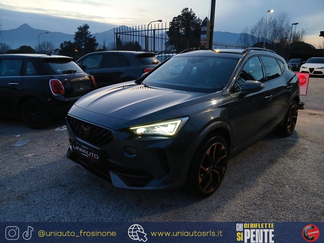 Cupra Formentor 2.0 TDI 4Drive DSG