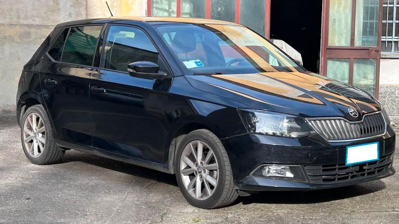 Skoda Fabia 1.4 TDI 90 CV AUTOCARRO N1 4 POSTI