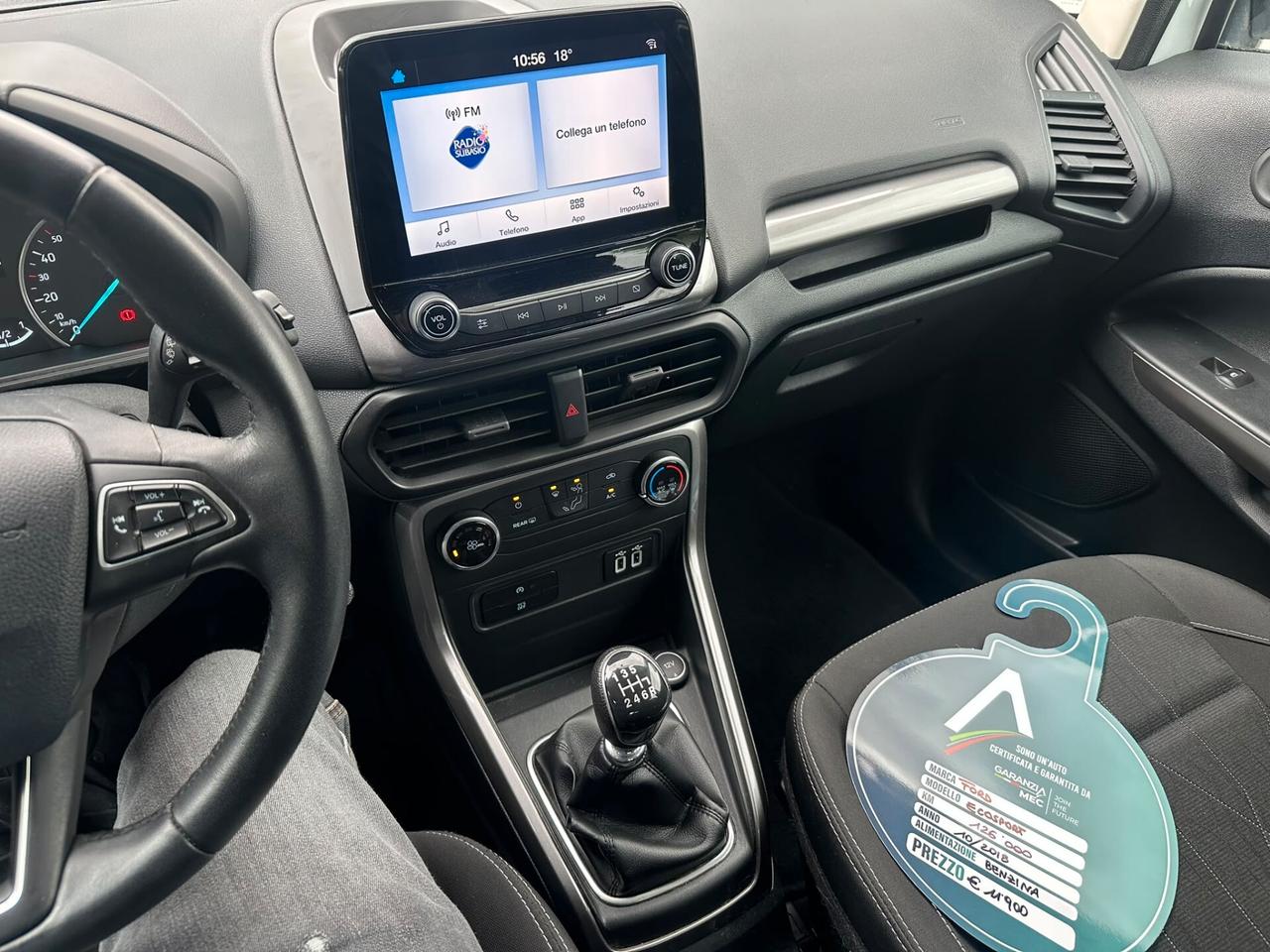 Ford EcoSport 1.0 EcoBoost 100 CV ST-Line Black Edition