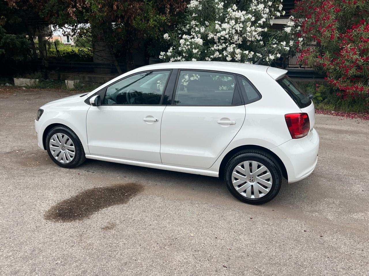 Volkswagen Polo 1.2 5 porte Trendline Perfetta