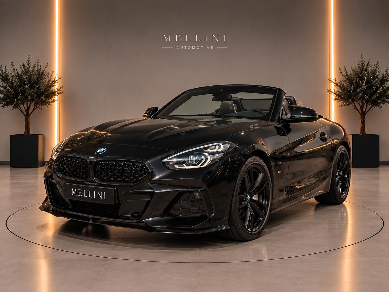 Bmw Z4 M sDrive30i Msport
