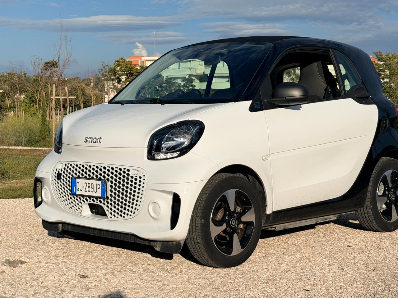 Smart ForTwo EQ Passion 22kw Charger