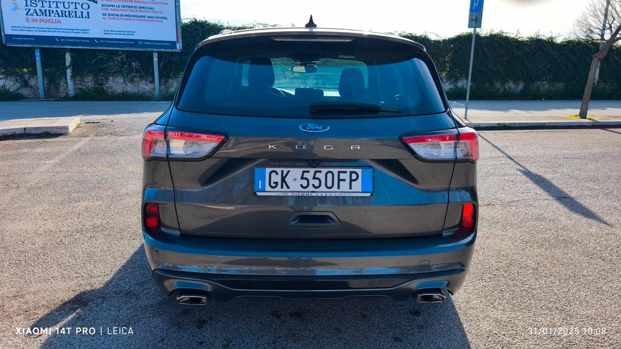 Ford Kuga 1.5 EcoBlue 120 CV aut. 2WD ST-Line 2022