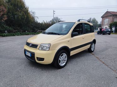 Fiat Panda 1.2 Climbing Natural Power