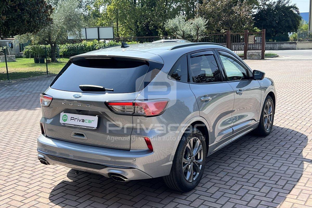 FORD Kuga 1.5 EcoBlue 120 CV 2WD ST-Line