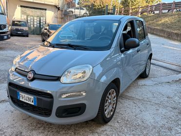 Fiat Panda 1.2 Unica Proprietaria Euro 6B