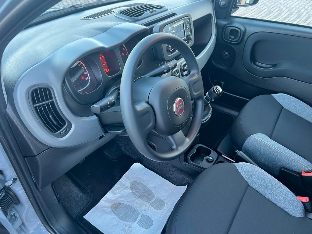 Fiat Panda 1.0 Hybrid , DISP SOLO PER NOLEGGIO