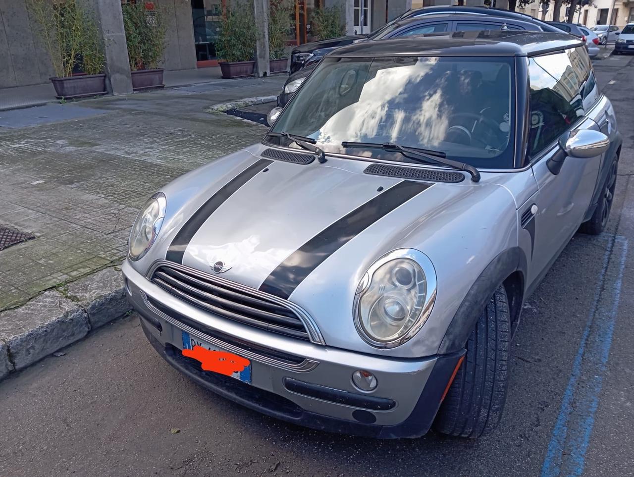 Mini 1.3 cat British Open