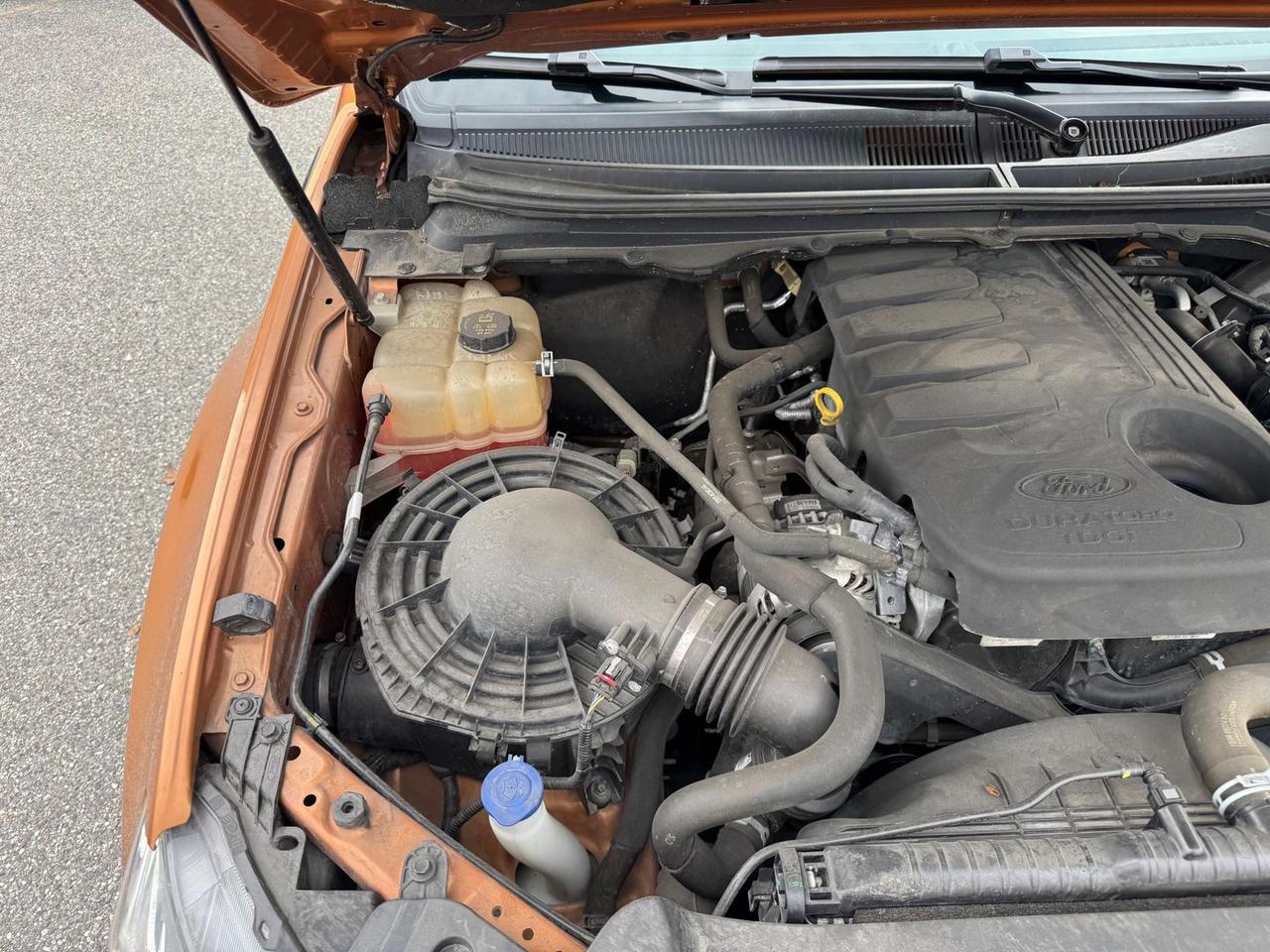 Ford Ranger 3.2 TDCi Wildtrak N1 (No IVA ES #7366