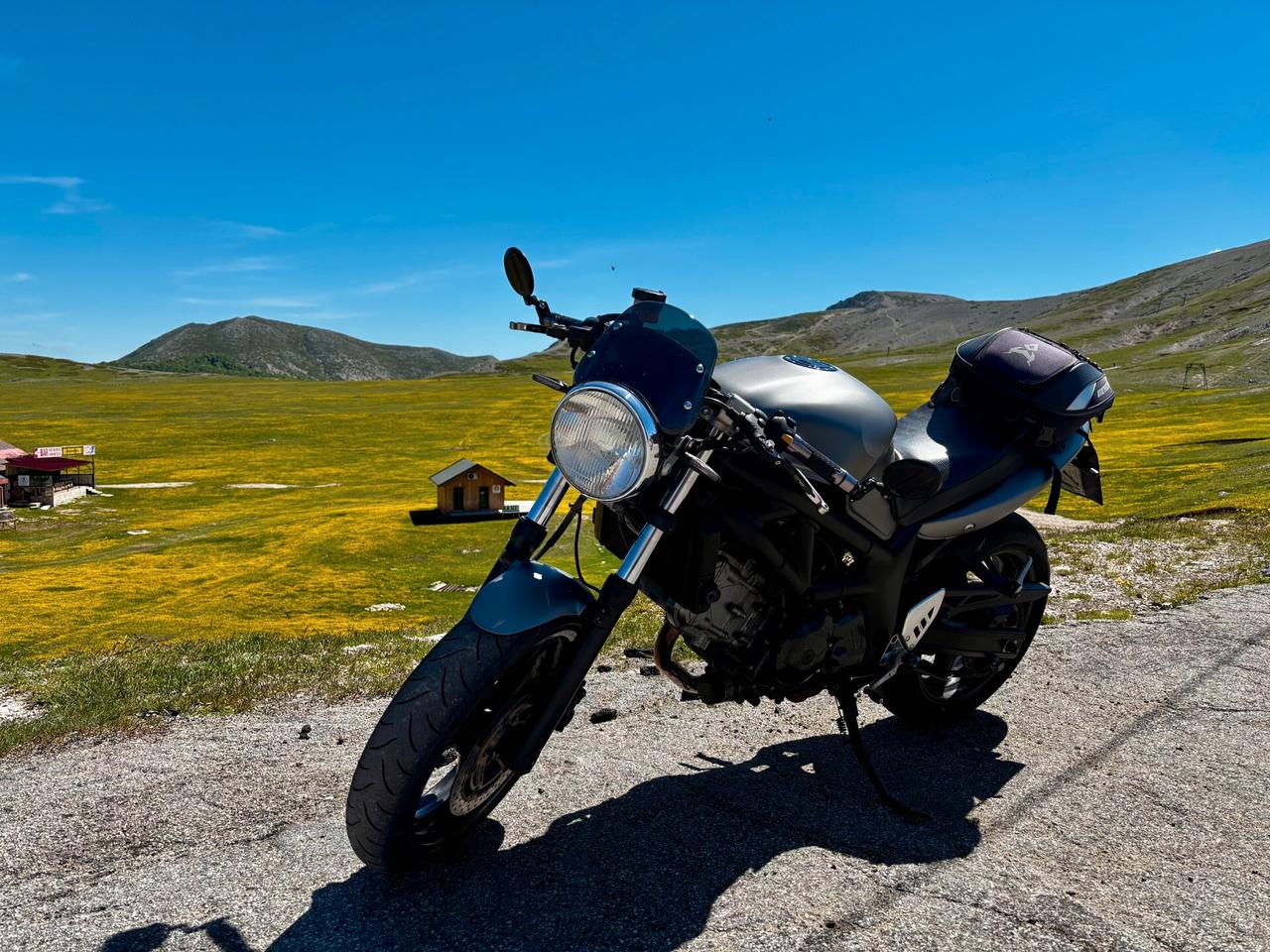 Cafe Racer su base Suzuki sv650 caffè ,scambler