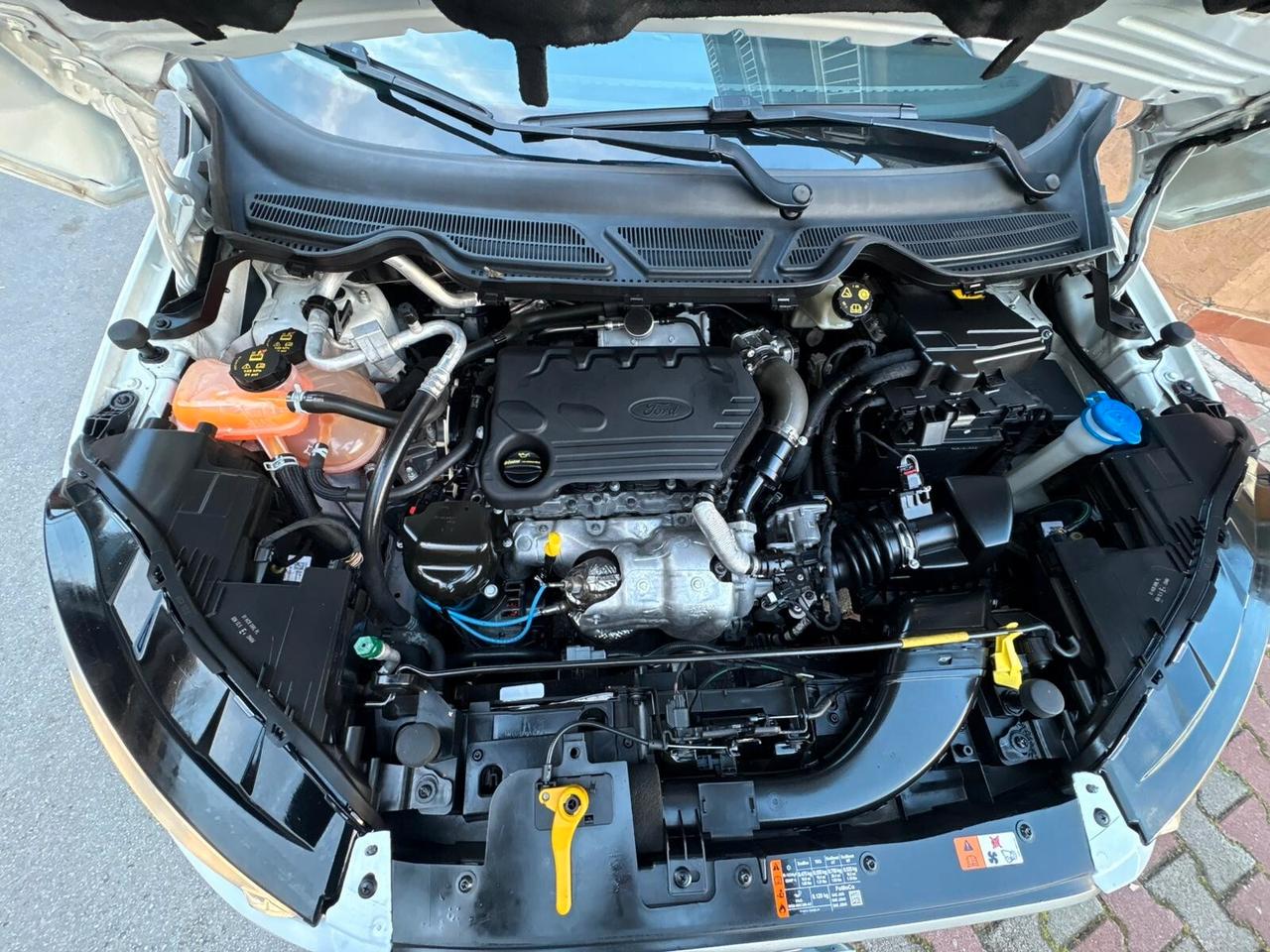 Ford EcoSport 1.5 TDCi 100 CV Start&Stop Plus